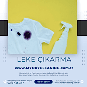 Leke Çıkarma
